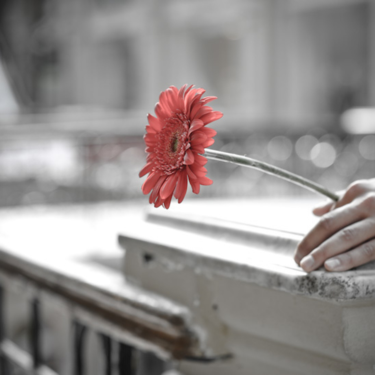 Сергей и Анна. Свадебный фотограф Москва Альберт Хаиров