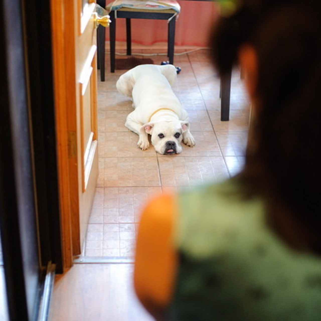 Стас и Елена. Свадебный фотограф Москва Альберт Хаиров