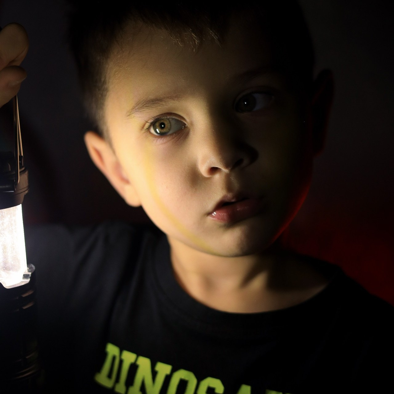 Отзывы. Семейный и детский фотограф в Перми Ольга Кошелева