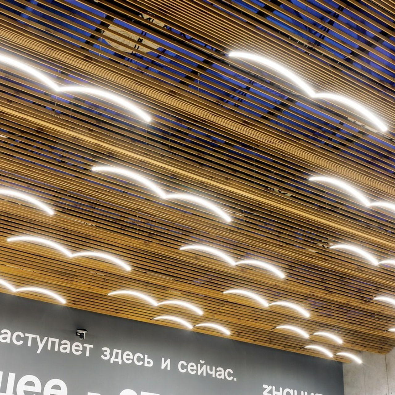 Отзывы. Фотограф в Москве Татьяна Макотра