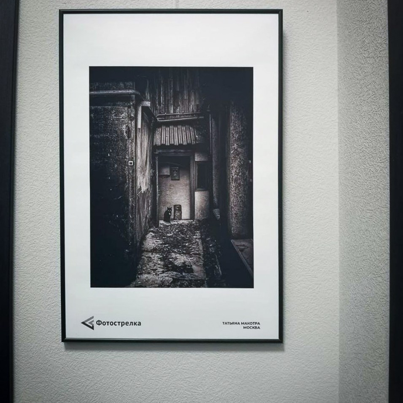 Фотоквартирник в Санкт-Петербурге 2025