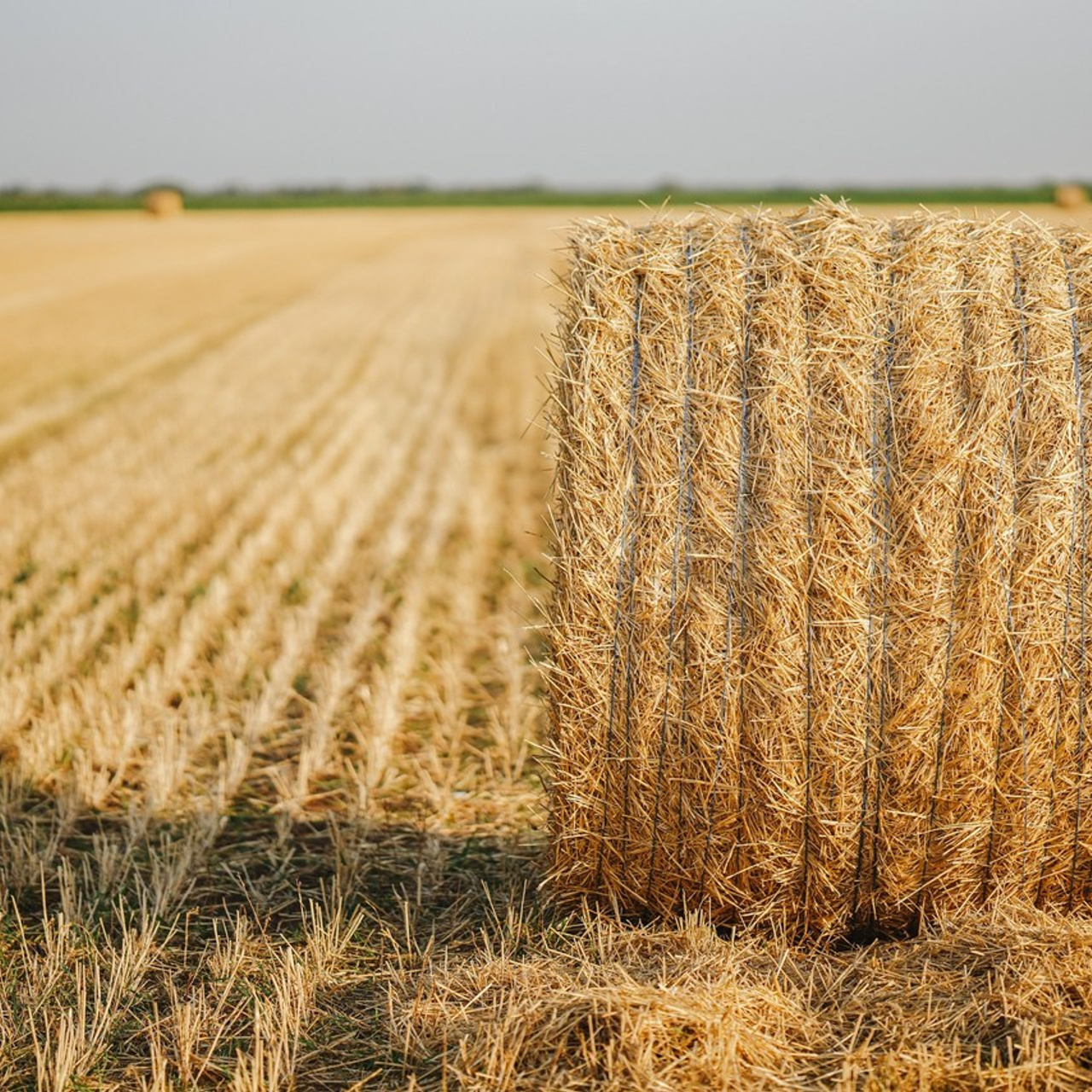 Отзывы. Фотограф в Красноперекопске Виталий Савчук