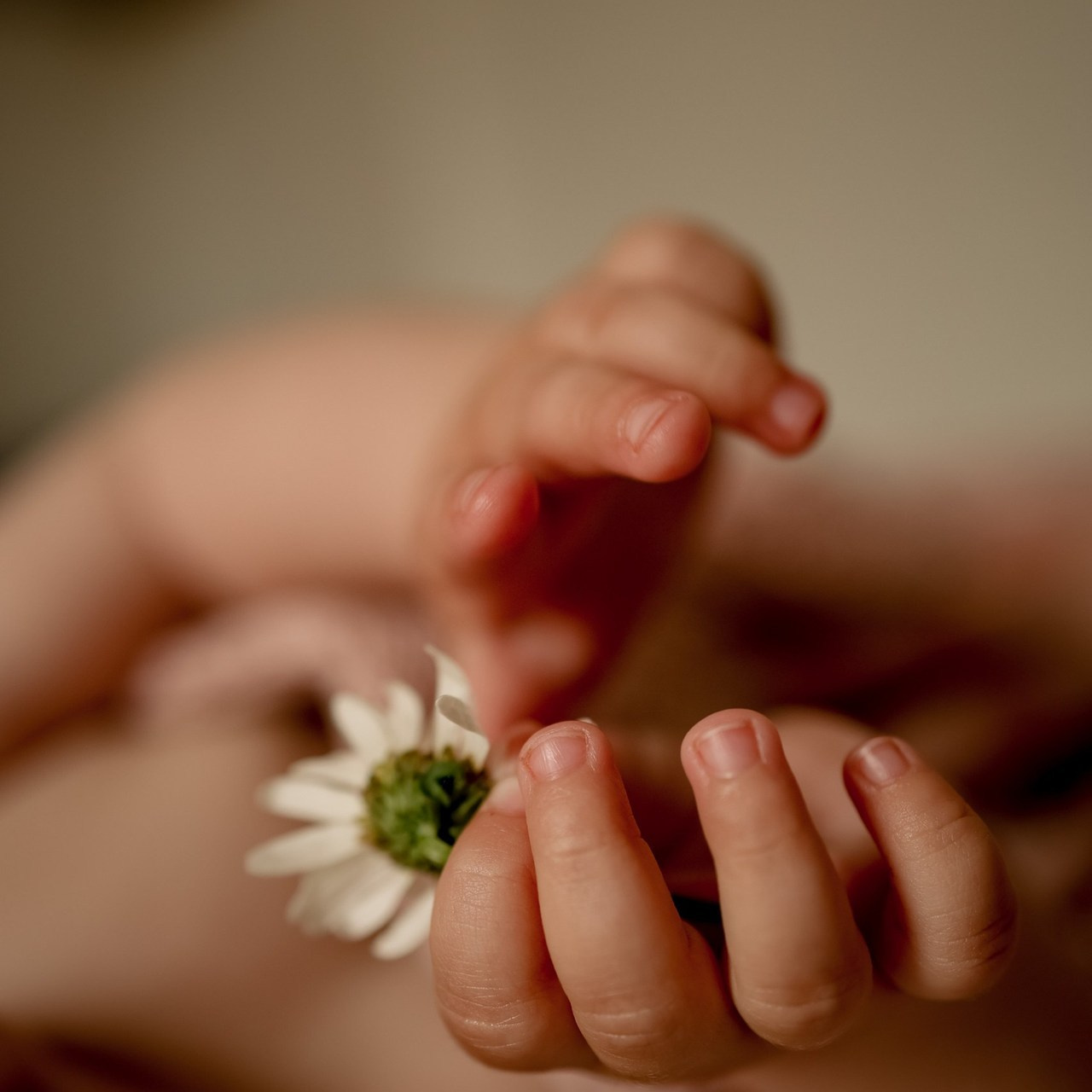 Отзывы. Семейный фотограф в Санкт-Петербурге. Никитина Наталья