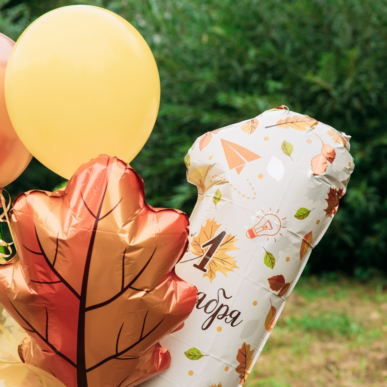 Отзывы. Видеограф|Фотограф|Омск