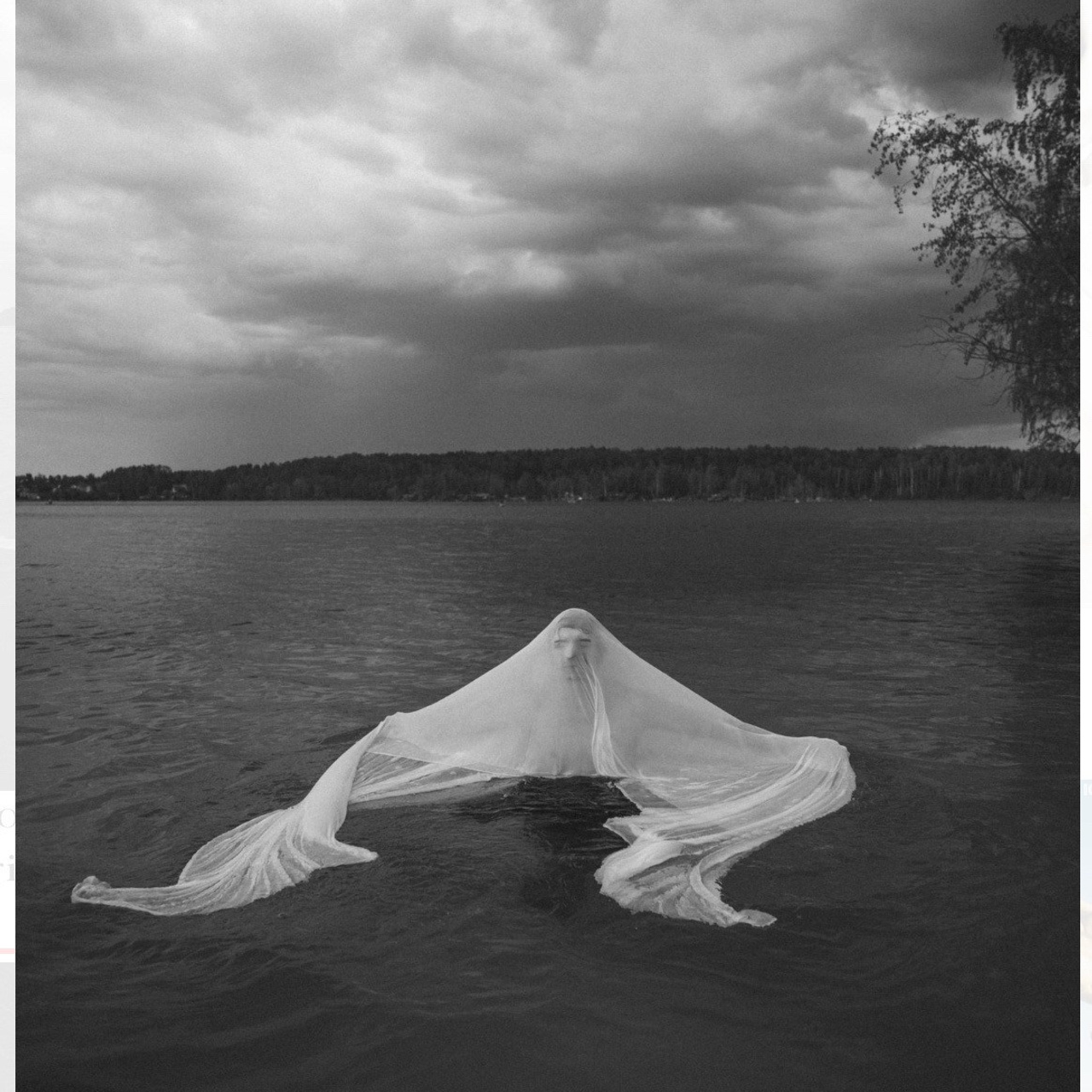 Публикации в журналах