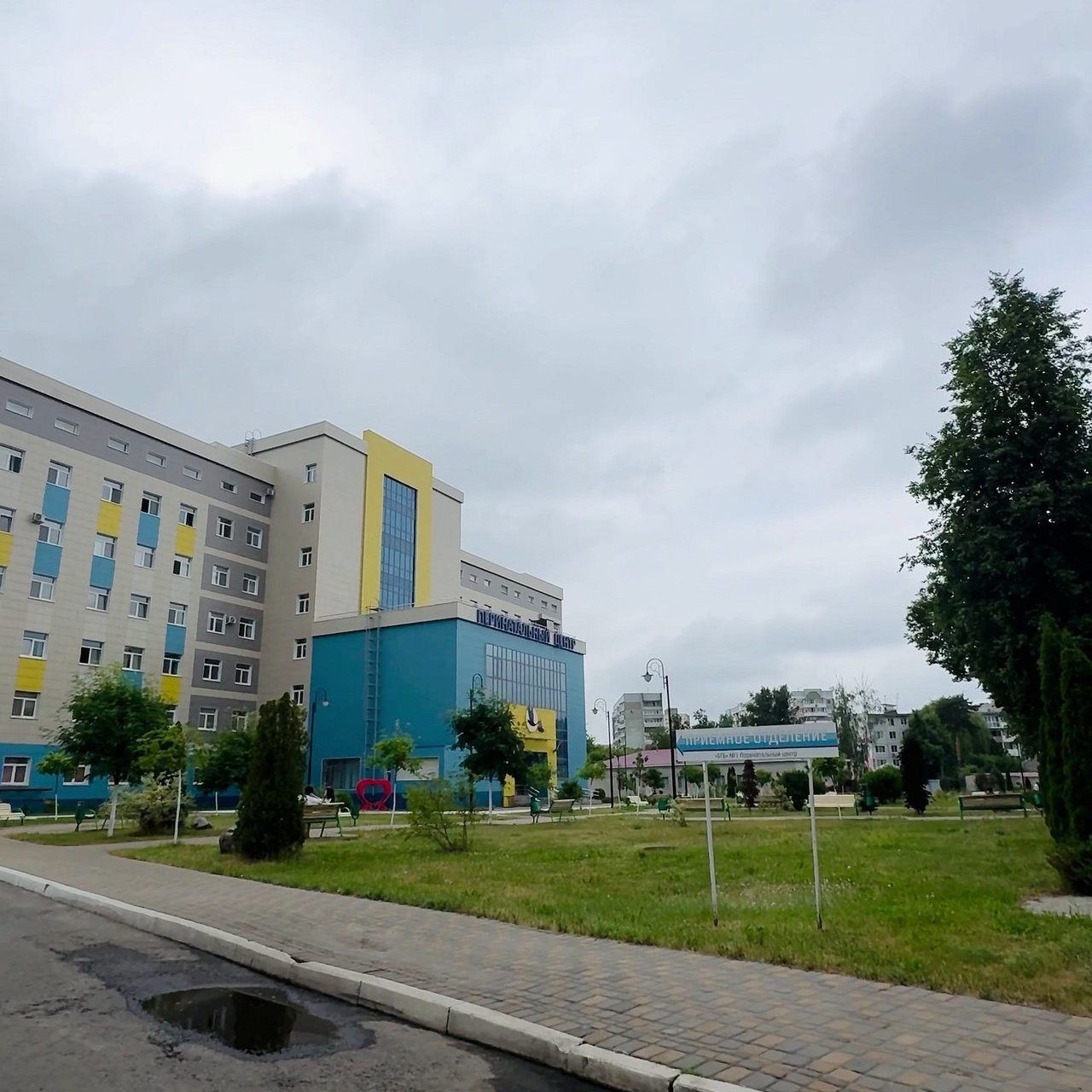 Отзывы. Ваш фотограф Светлана Мицукова