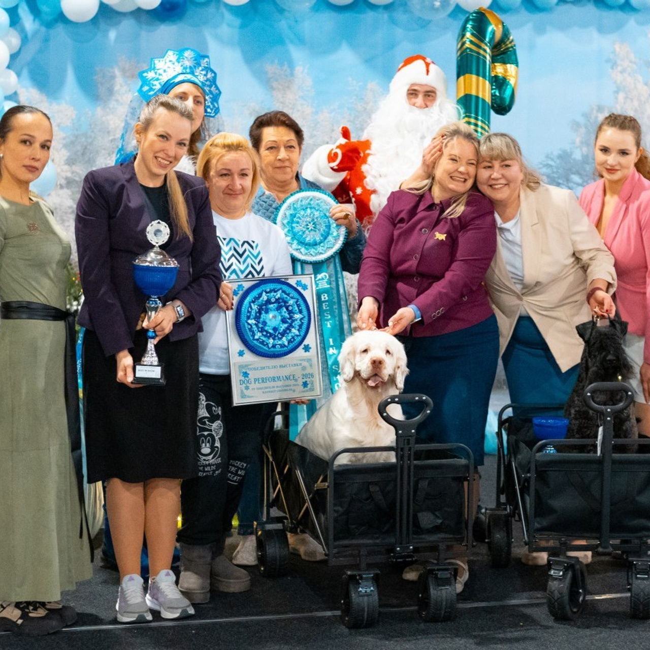 Отзывы. Slavilada-Лапки. Свет. Любовь… Профессиональная фотосессия питомцев Для памяти, пристройства и продажи. Хабаровск