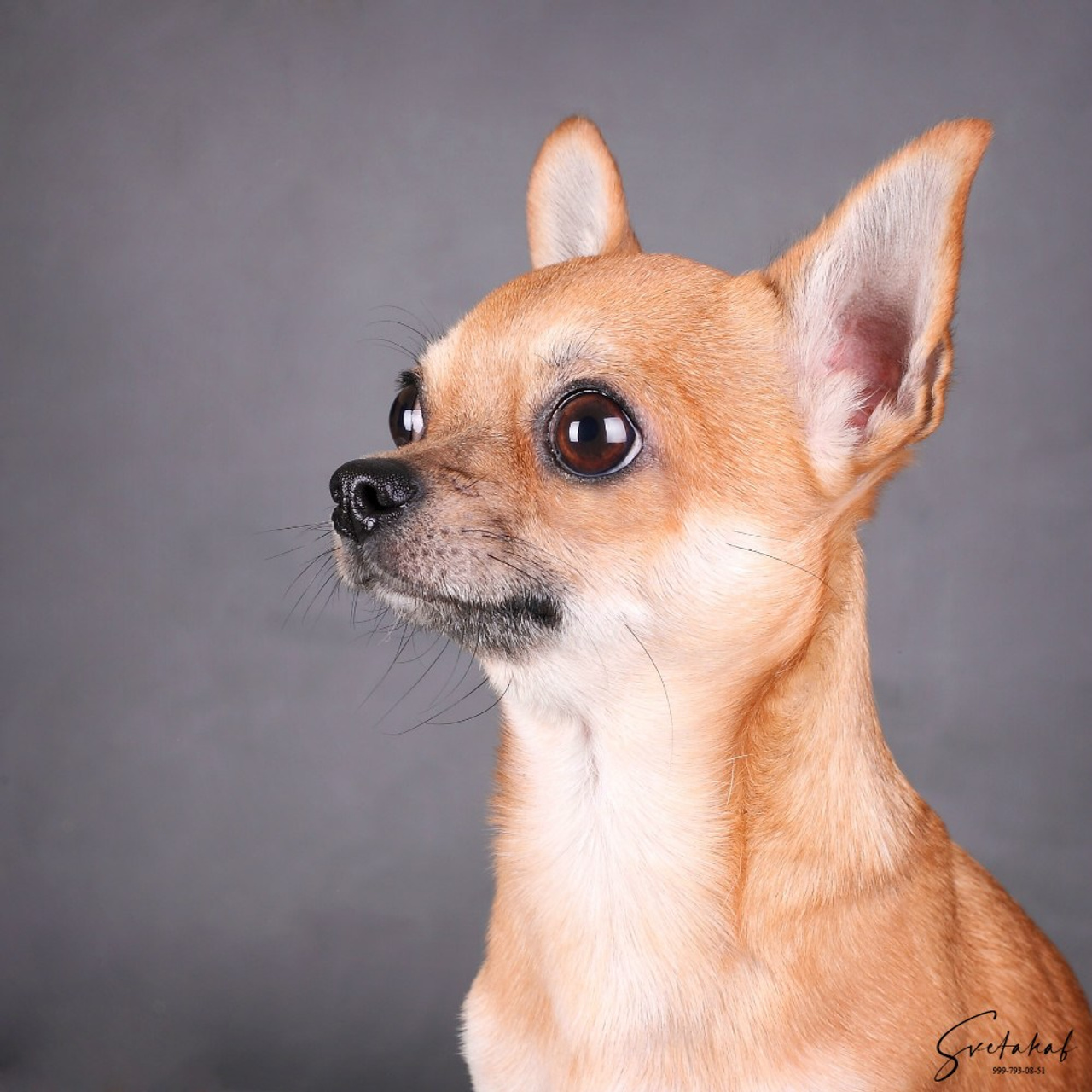 Студийные съемки