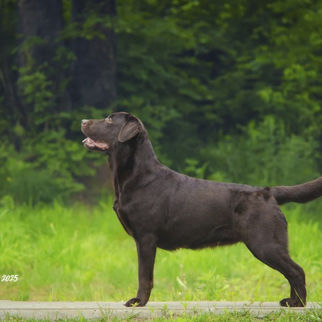 Экстерьерные фото