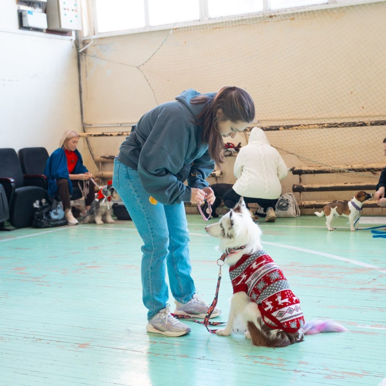 Отзывы. Slavilada-Лапки. Свет. Любовь… Профессиональная фотосессия питомцев Для памяти, пристройства и продажи. Хабаровск