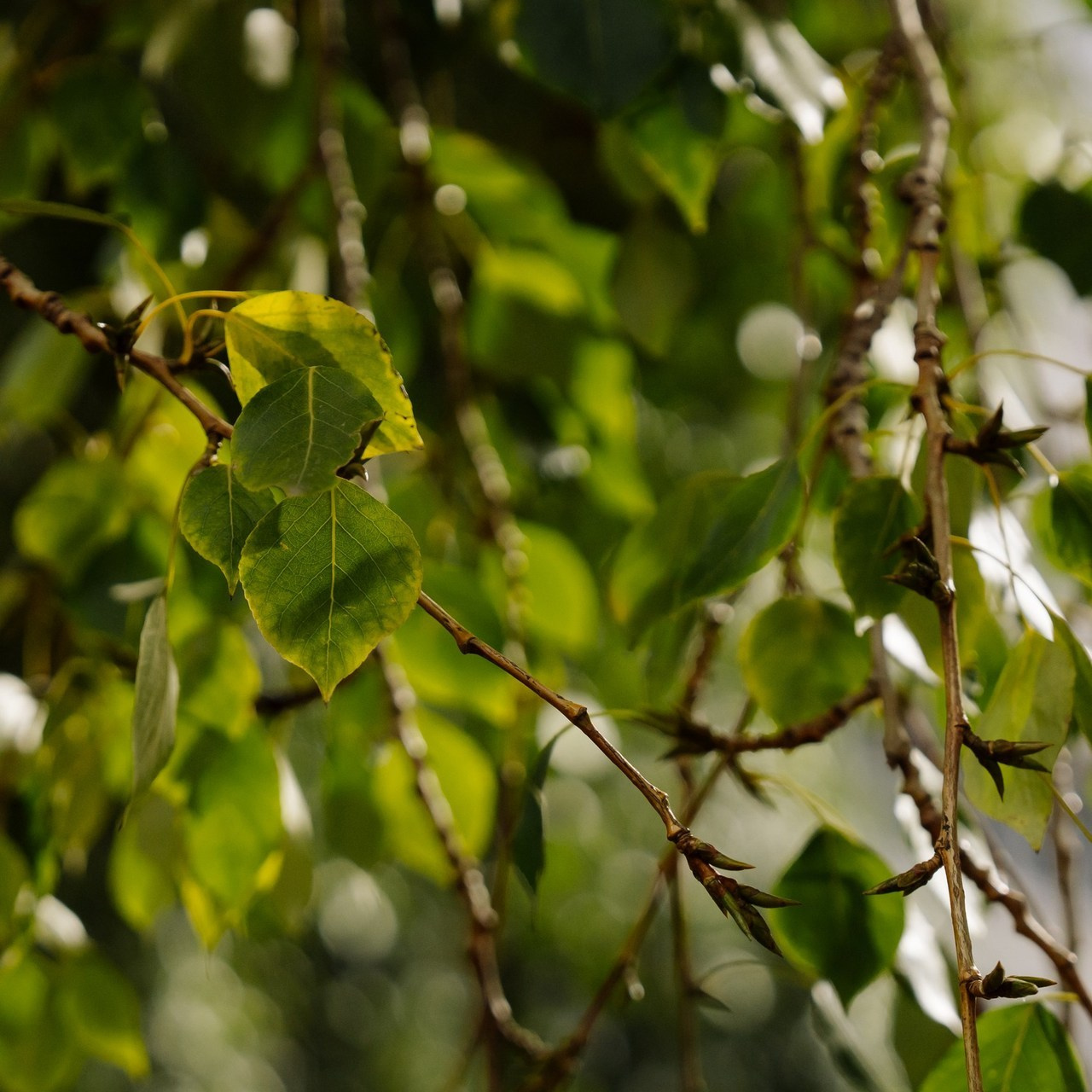 Отзывы. Свадебный фотограф Воронеж Марина Грудинина