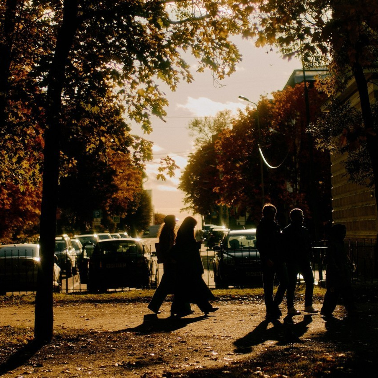 Отзывы. Свадебный фотограф Анастасия Лахтионова