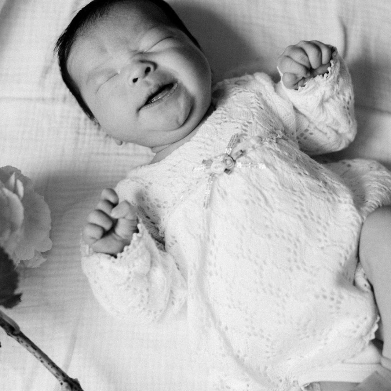 Reviews. @beingabird.photography