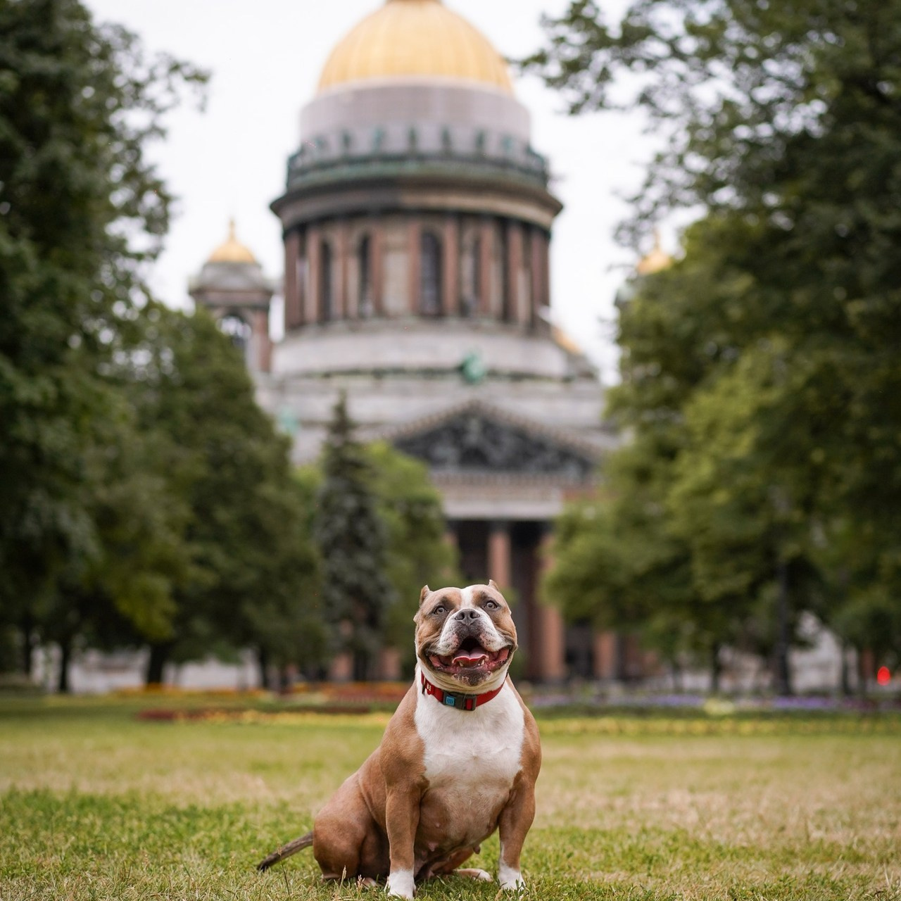Отзывы. Фотограф-анималист в Санкт-Петербурге Яна Мартынова
