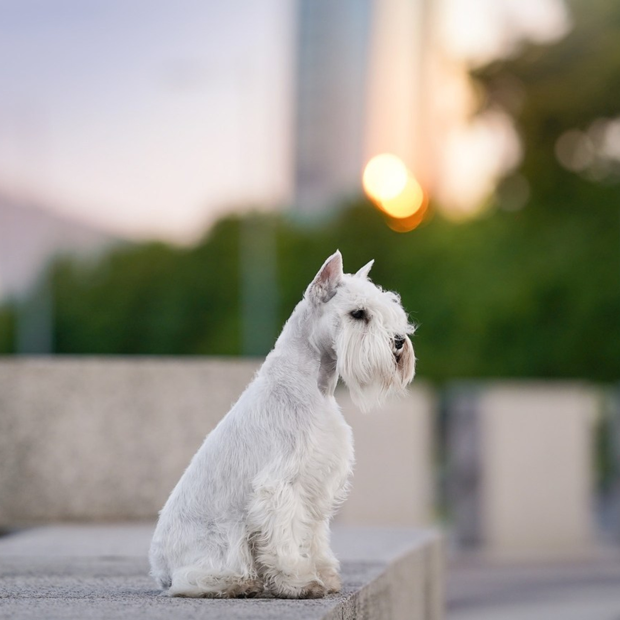 Отзывы. Фотограф-анималист в Санкт-Петербурге Яна Мартынова