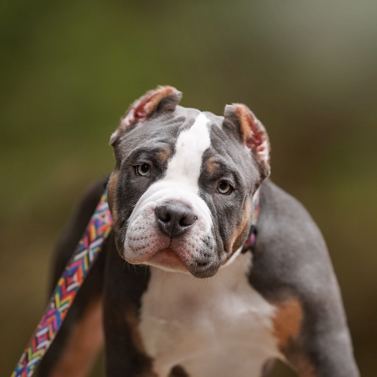 Отзывы. Фотограф-анималист в Санкт-Петербурге Яна Мартынова
