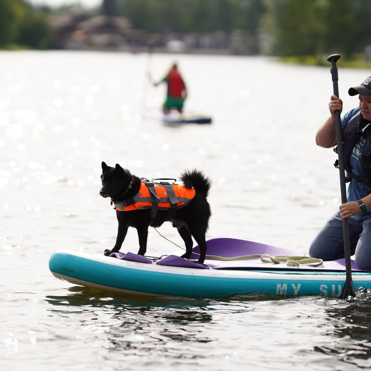 Отзывы. Фотограф-анималист в Санкт-Петербурге Яна Мартынова