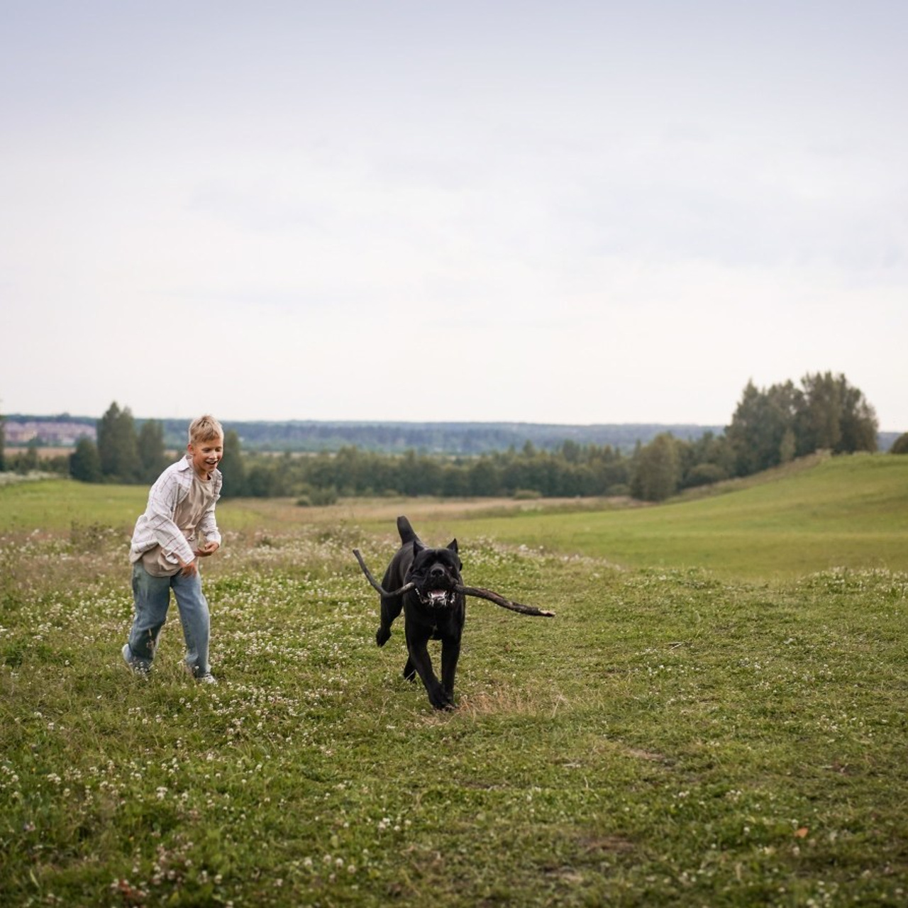 Отзывы. Фотограф-анималист в Санкт-Петербурге Яна Мартынова