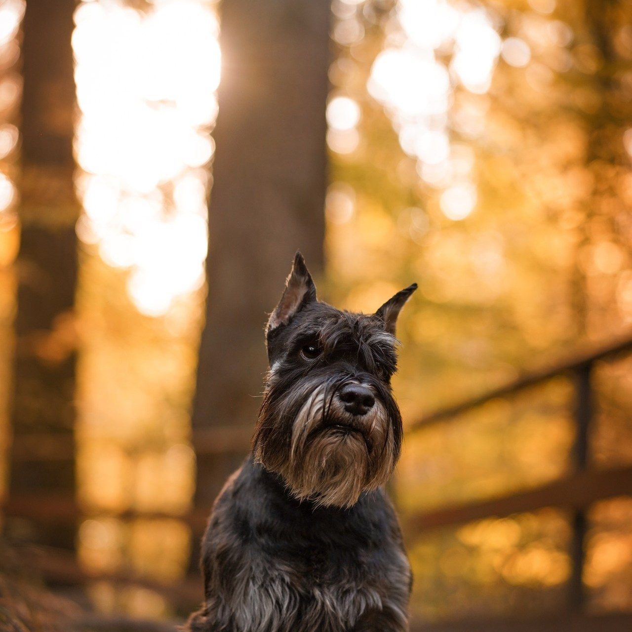 Отзывы. Фотограф-анималист в Санкт-Петербурге Яна Мартынова