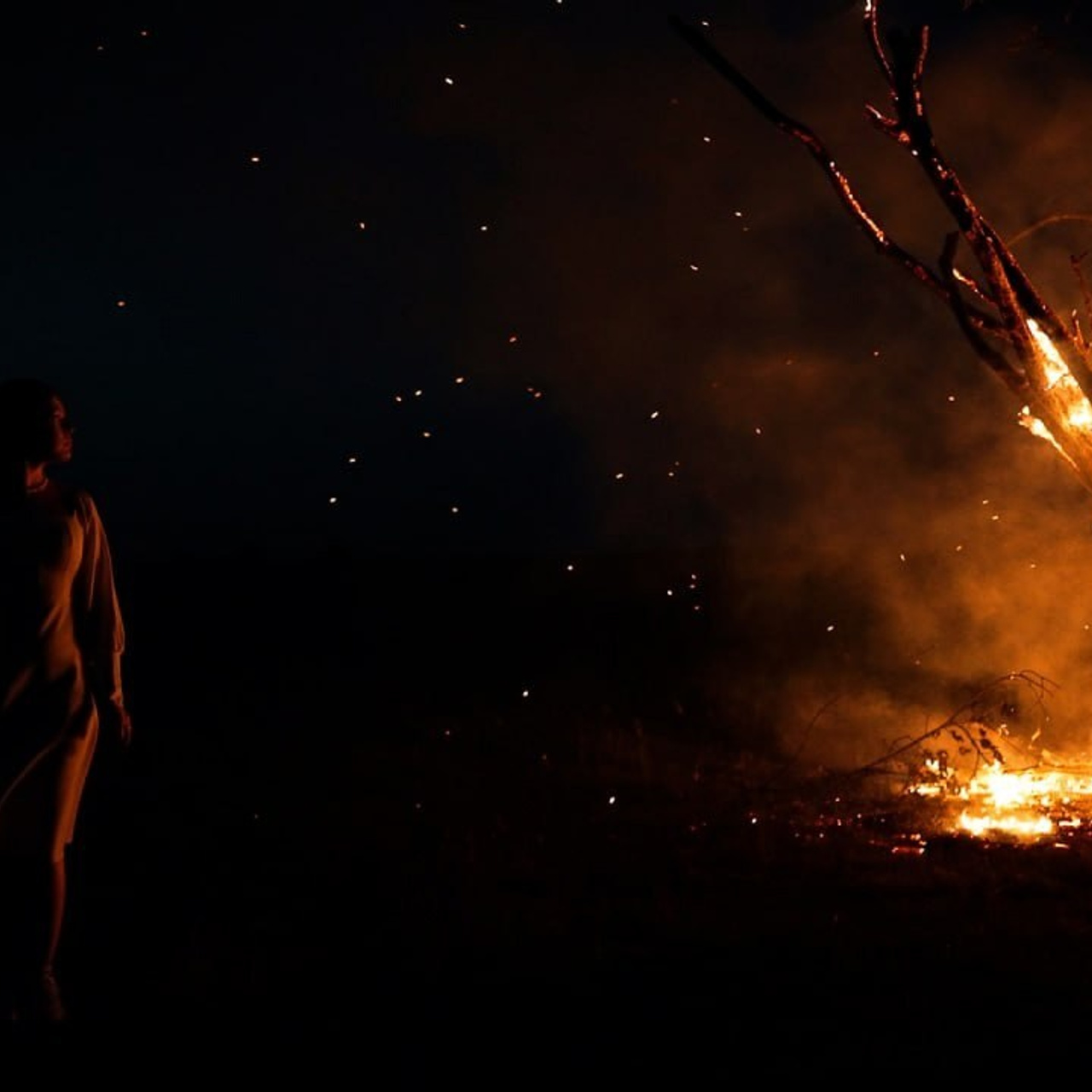 Свадебная съемка. Свадебный и коммерческий видеограф в Ульяновске Вадим Мавлютов