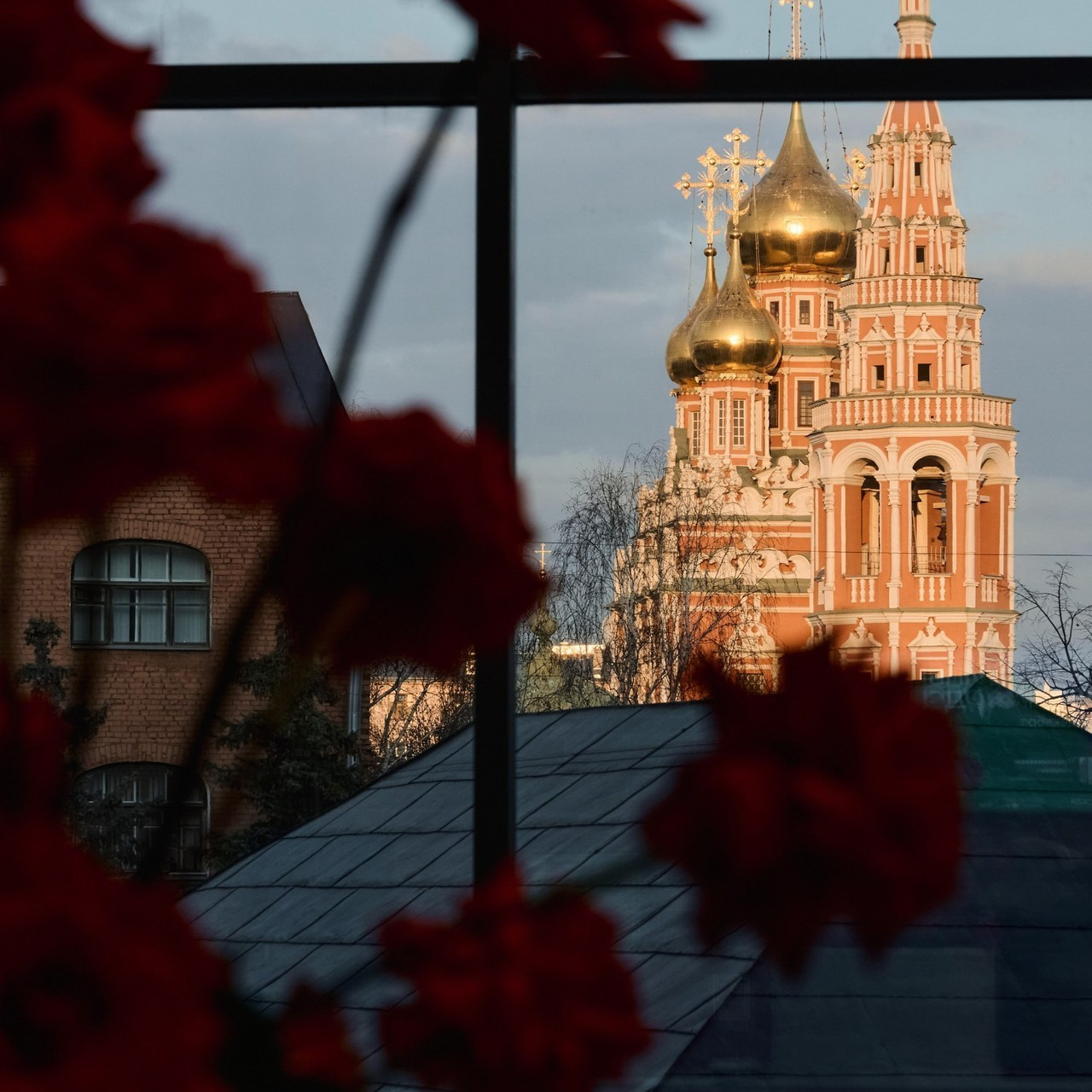 Отзывы. Свадебный и репортажный фотограф