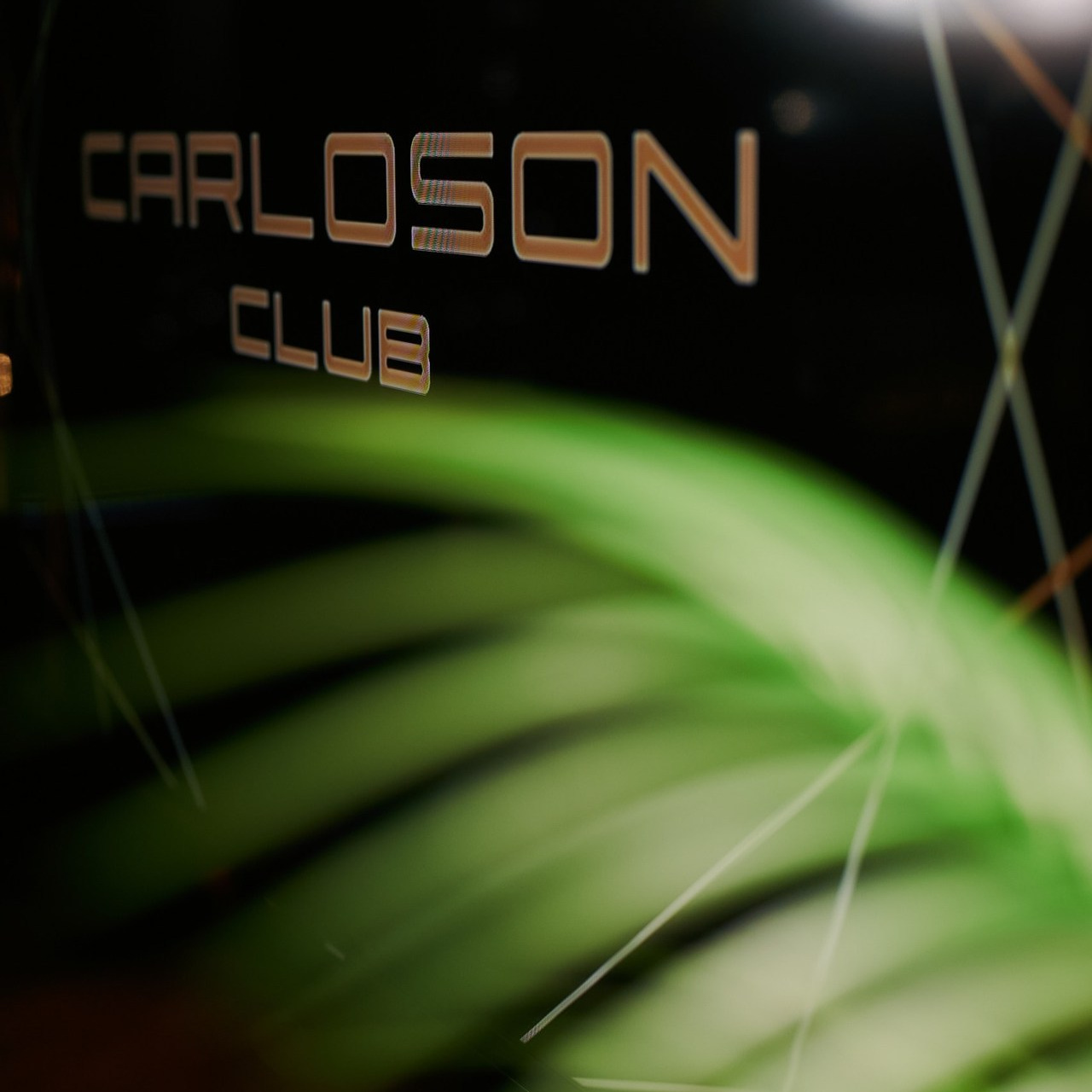 Отзывы. Свадебный и репортажный фотограф