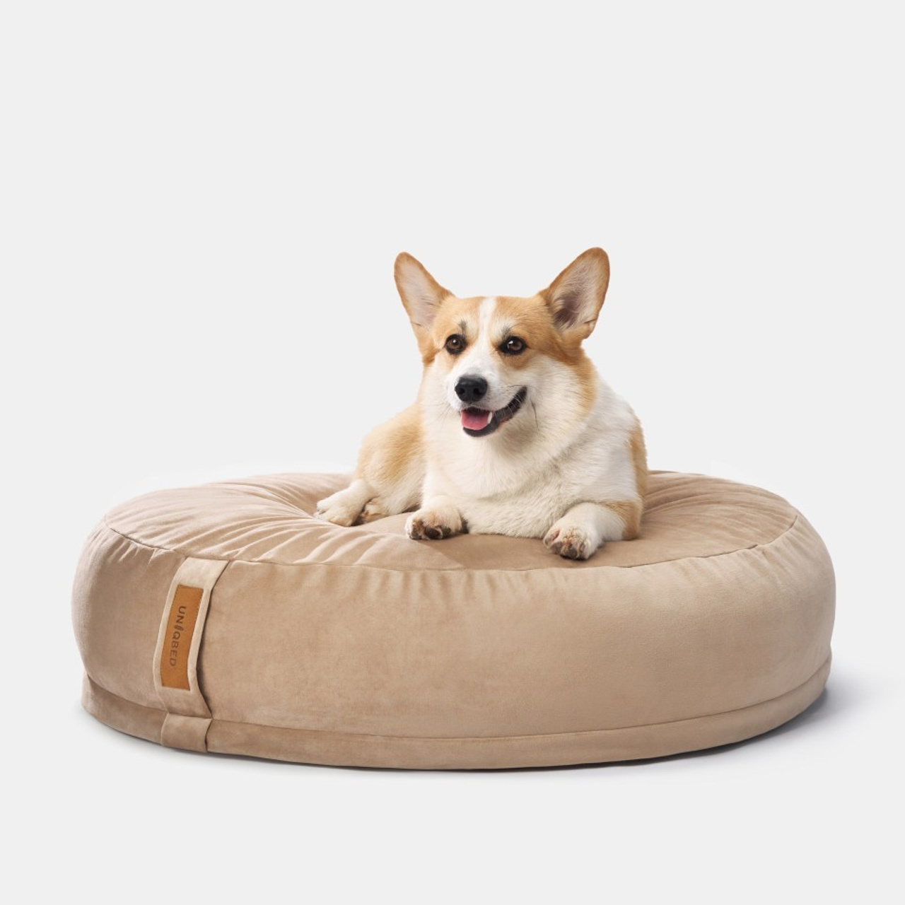 Reviews about the photographer Anna Averianova. Dog photographer from. Dog photographer Averianova Anna — Art photography of dogs