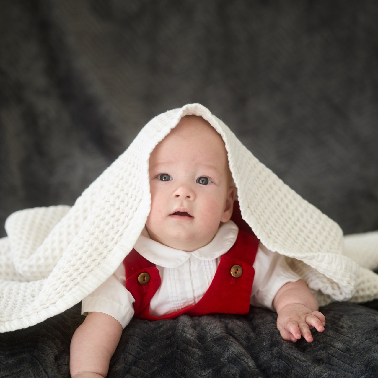 Reviews about the photographer Anna Averianova. Dog photographer from. Dog photographer Averianova Anna — Art photography of dogs