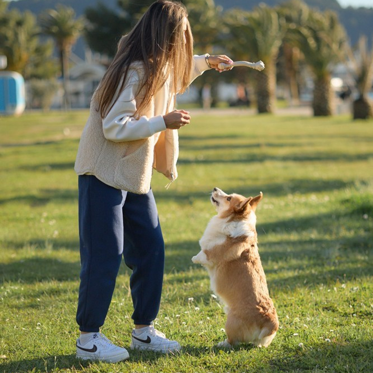 Client Reviews | Pet Photographer Anna Averianova. Dog Photographer Anna Averianova | Art & Commercial Pet Photography