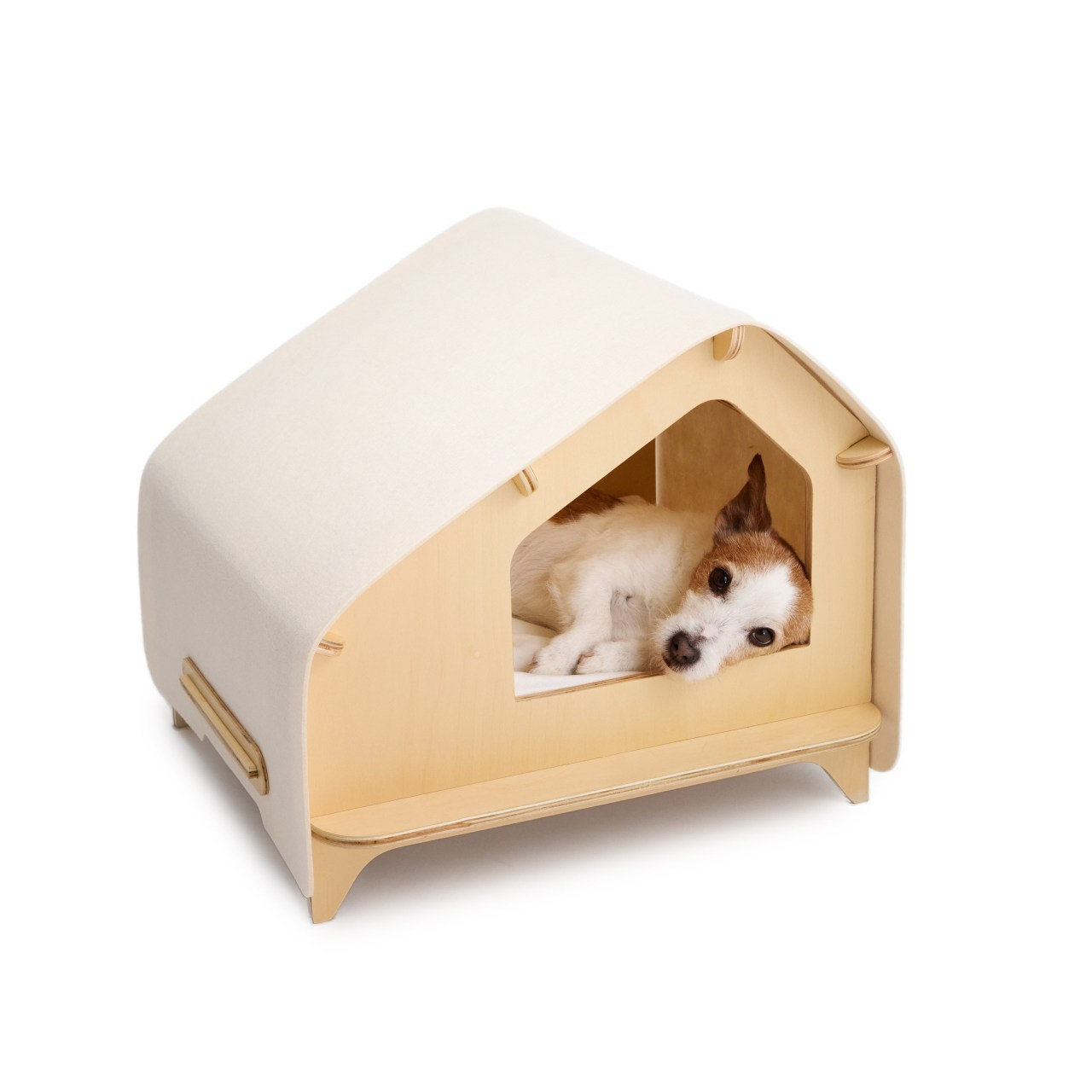 Client Reviews | Pet Photographer Anna Averianova. Dog Photographer Anna Averianova | Art & Commercial Pet Photography