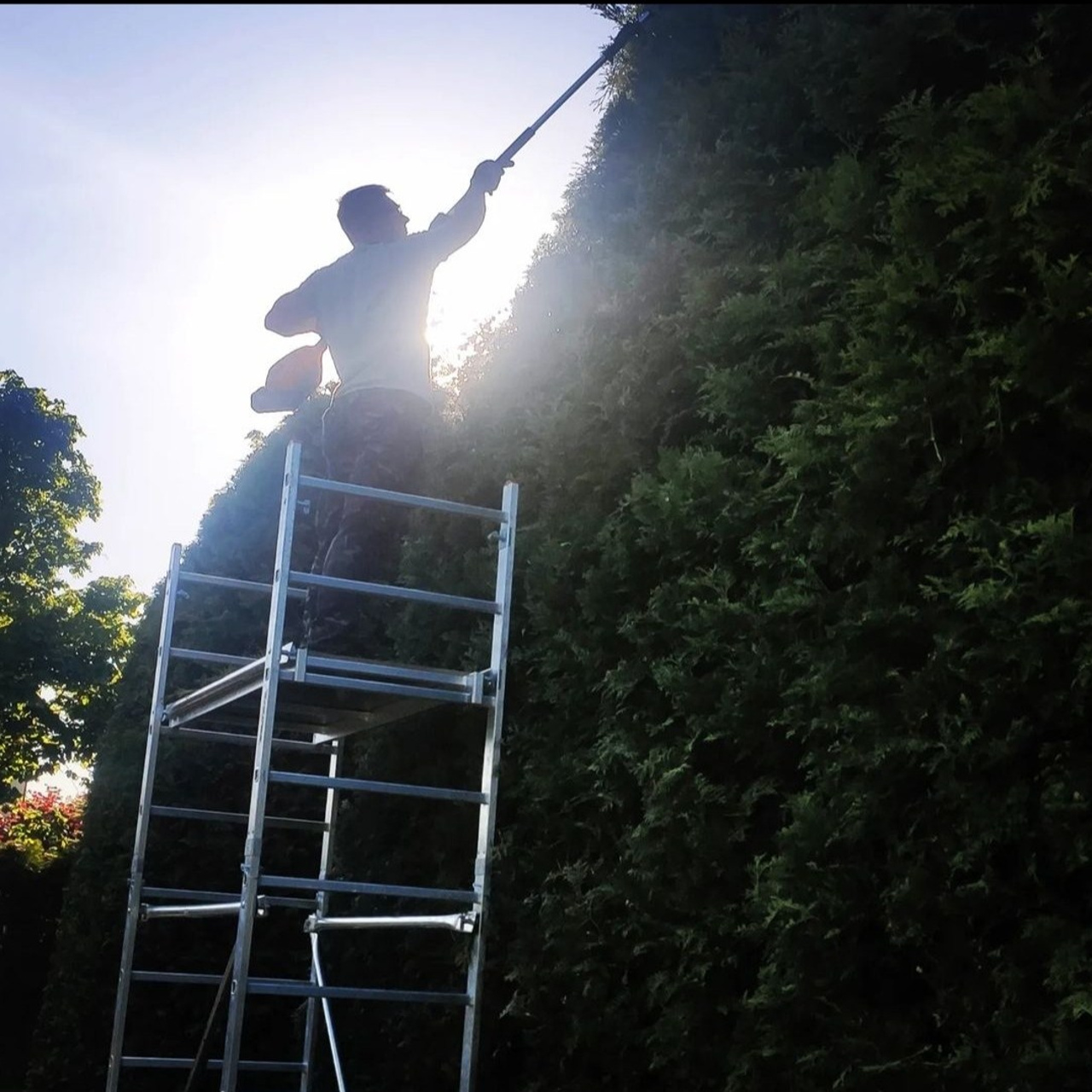 топиарная стрижка