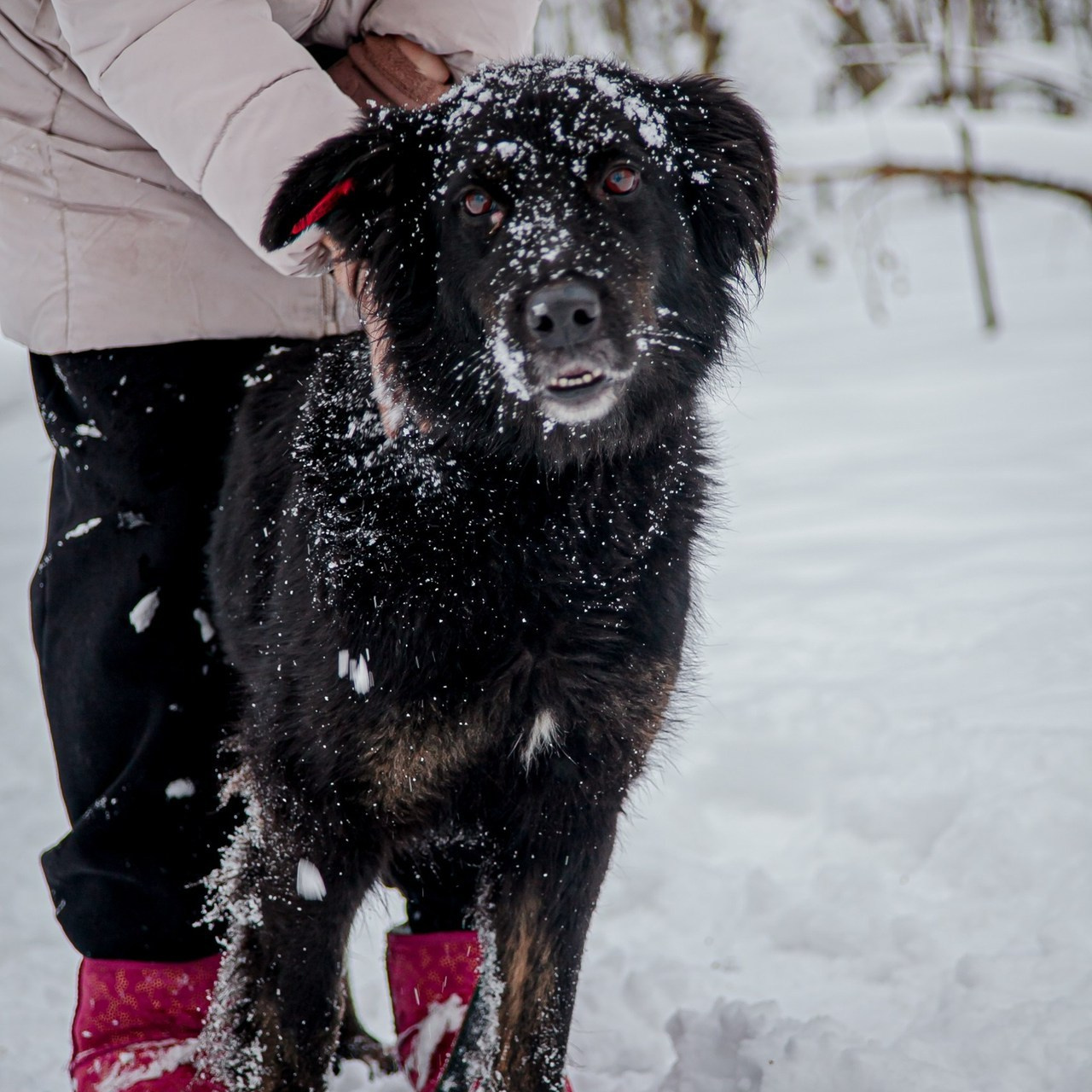Проект «Метафизика»: Отзывы клиентов. «Свет внутри»