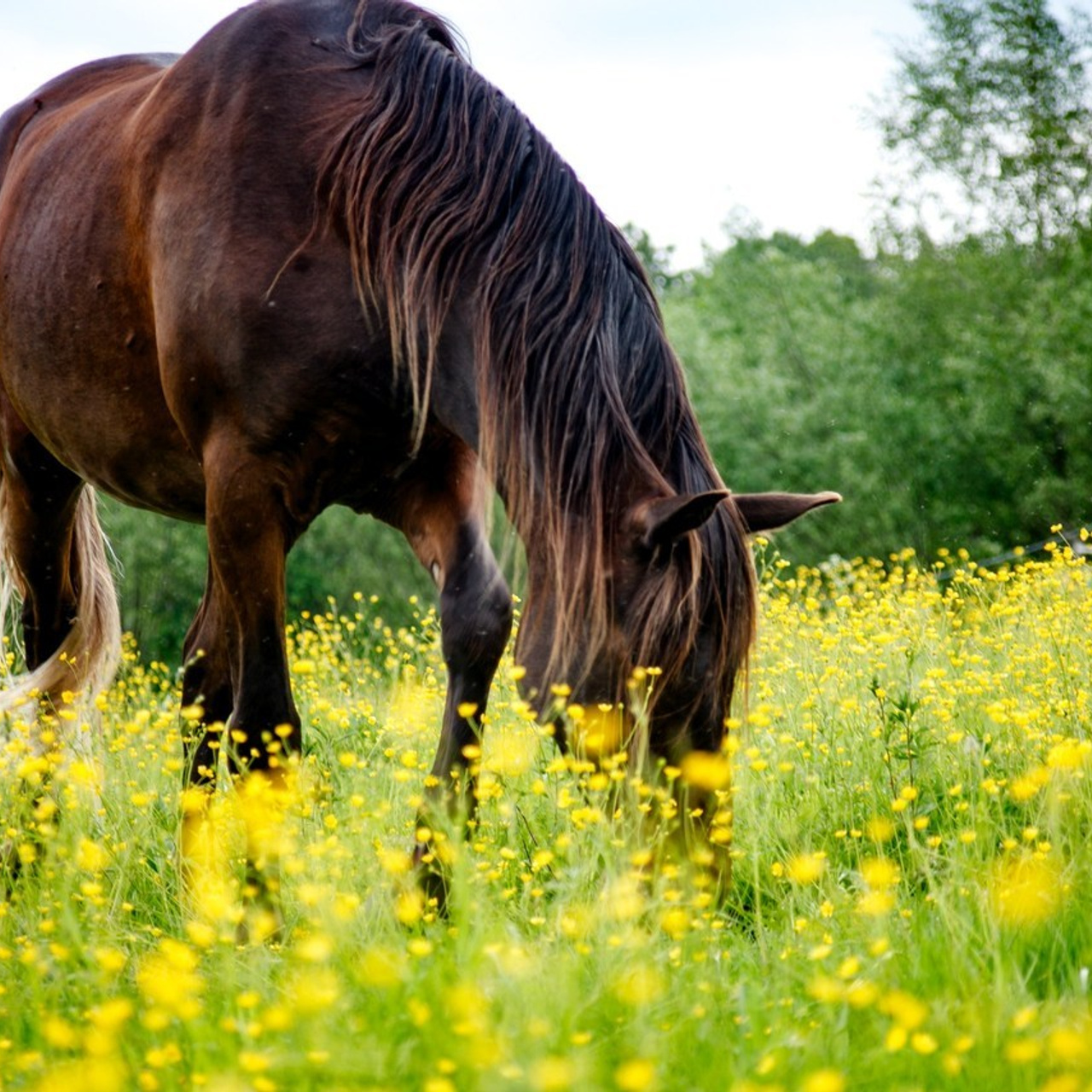 Проект «Метафизика»: Отзывы клиентов. «Свет внутри»