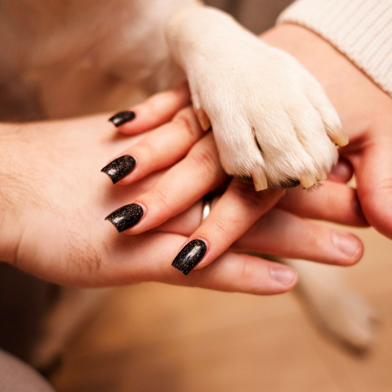 Testimonials. Photographer in Montenegro Tatiana Talaeva