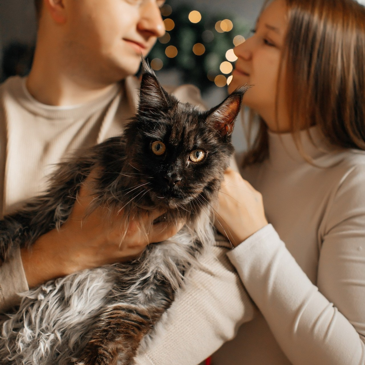 Отзывы. Свадебный и семейный фотограф в Ярославле Алина Федорова