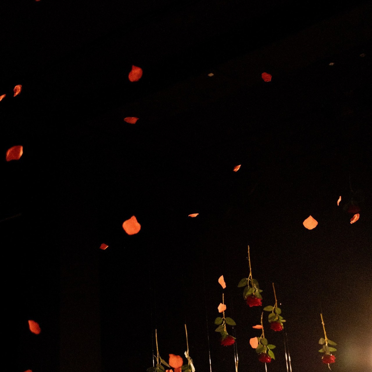 Отзывы. Свадьбы, портреты, семьи, репортаж — Юг России