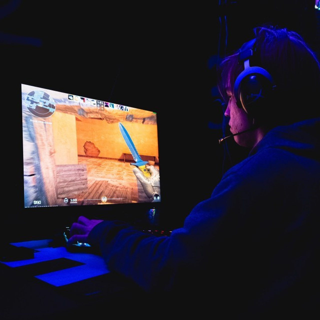 Отзывы. Royal Shirali