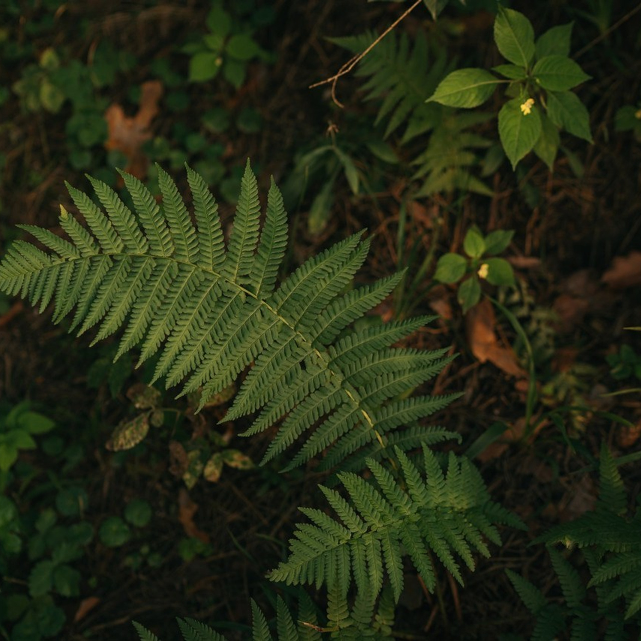 Отзывы. Семейный и детский фотограф Москва Дарья Бугра