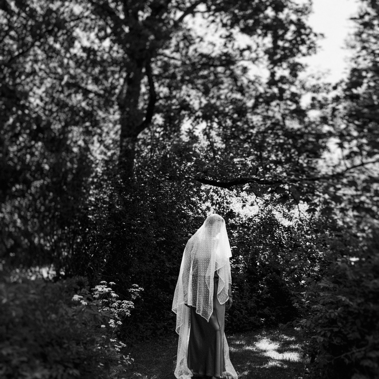 Отзывы. Фотограф Фототерапевт Минск