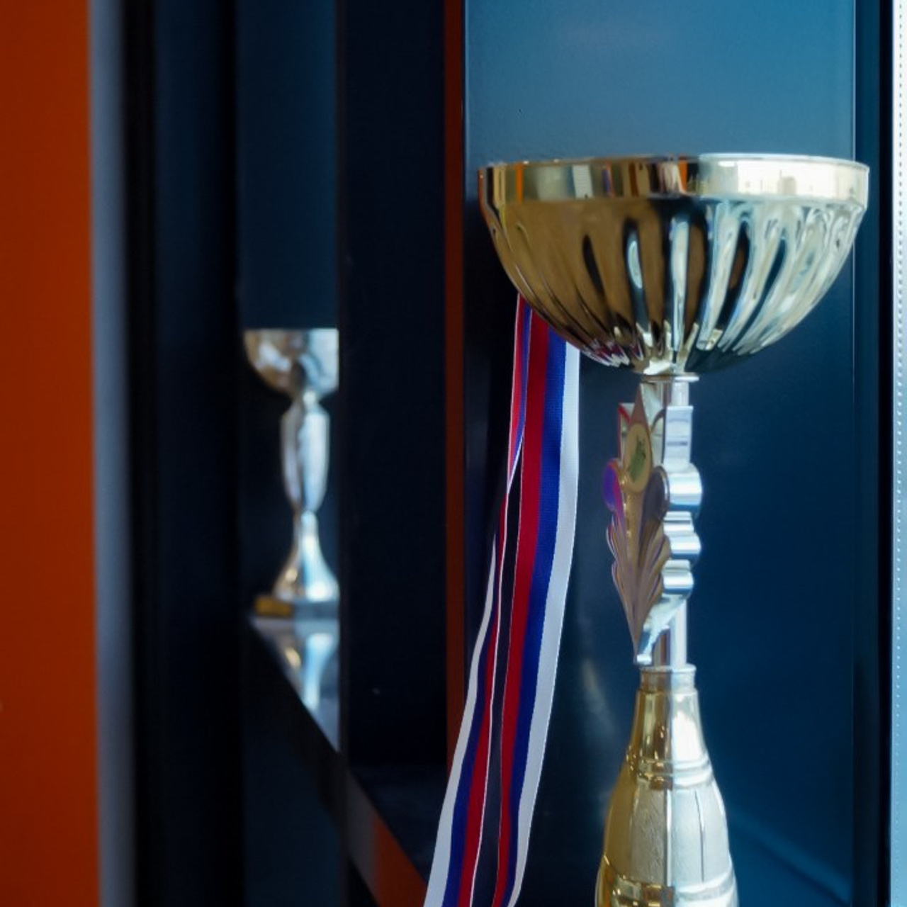 Promams тренировки