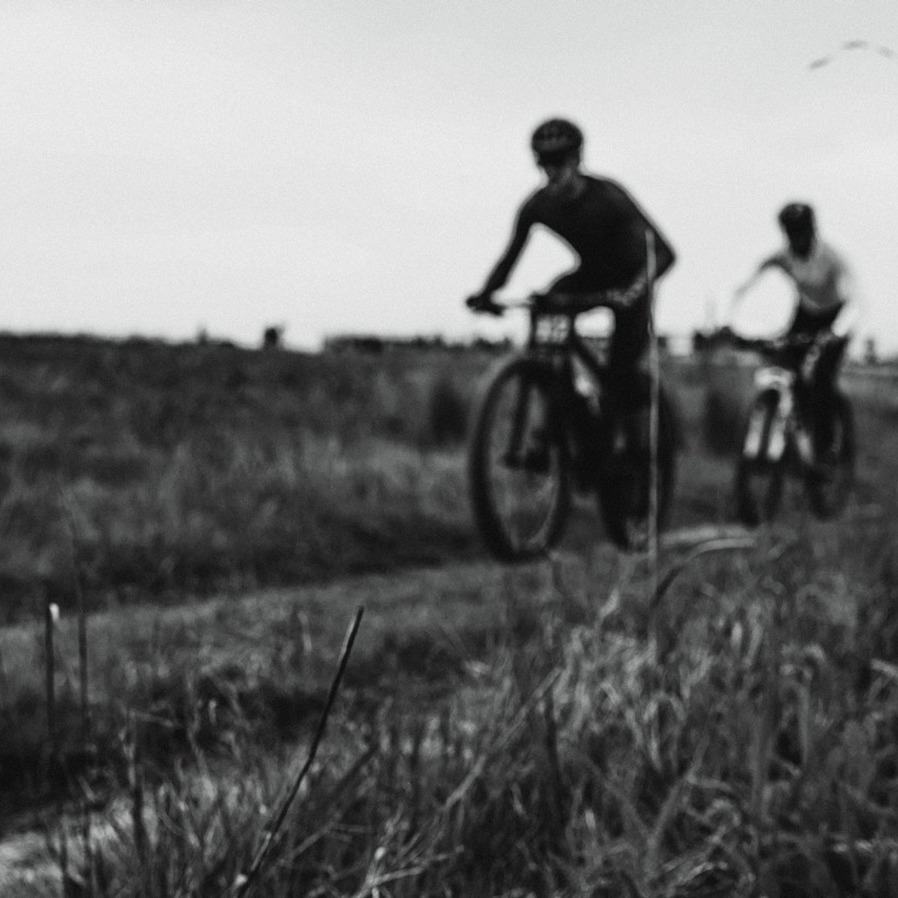 Отзывы. ФОТО/ВИДЕО БЬОРН Студия г. Новороссийск