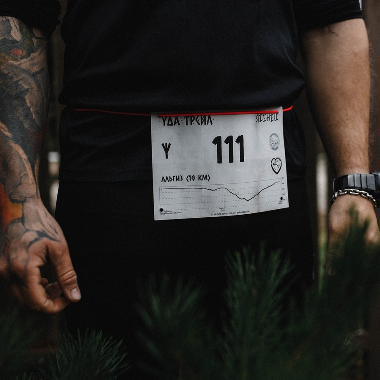 Отзывы. ФОТО/ВИДЕО БЬОРН Студия г. Новороссийск