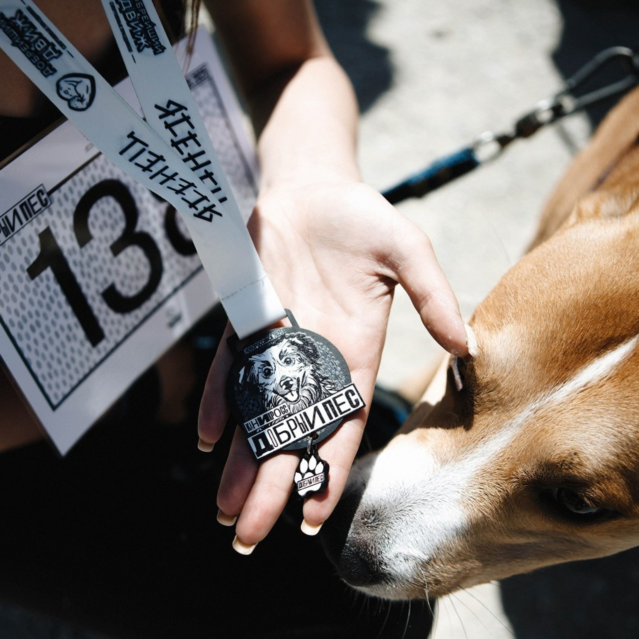 Отзывы. ФОТО/ВИДЕО БЬОРН Студия г. Новороссийск