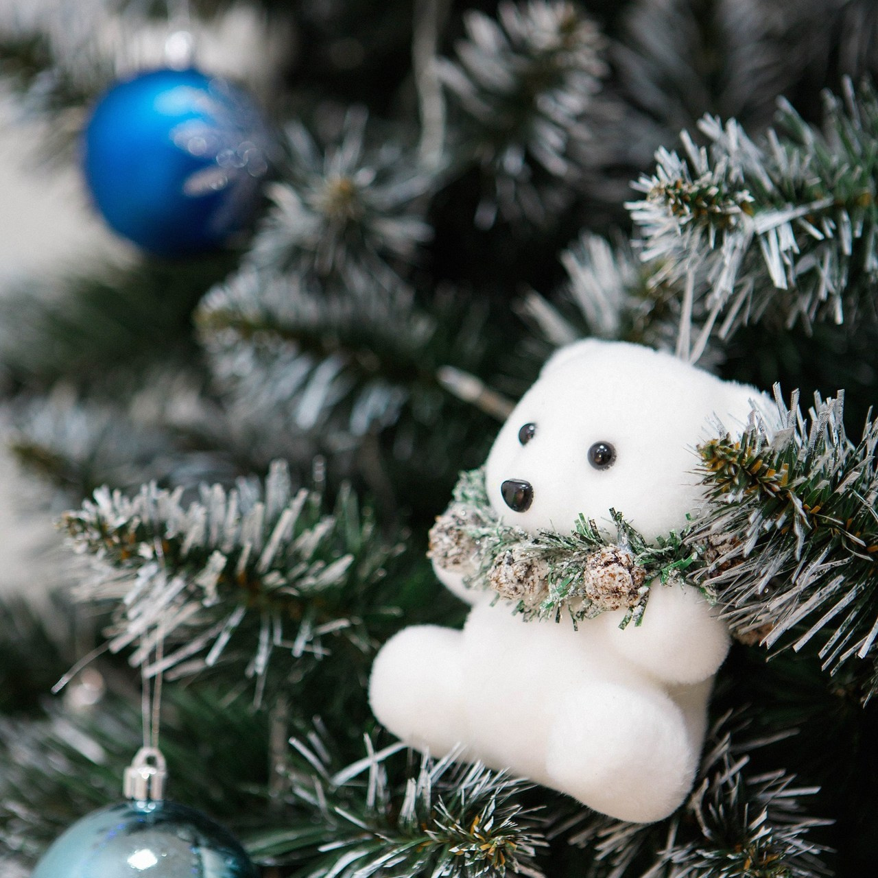 Отзывы. ФОТО/ВИДЕО БЬОРН Студия г. Новороссийск