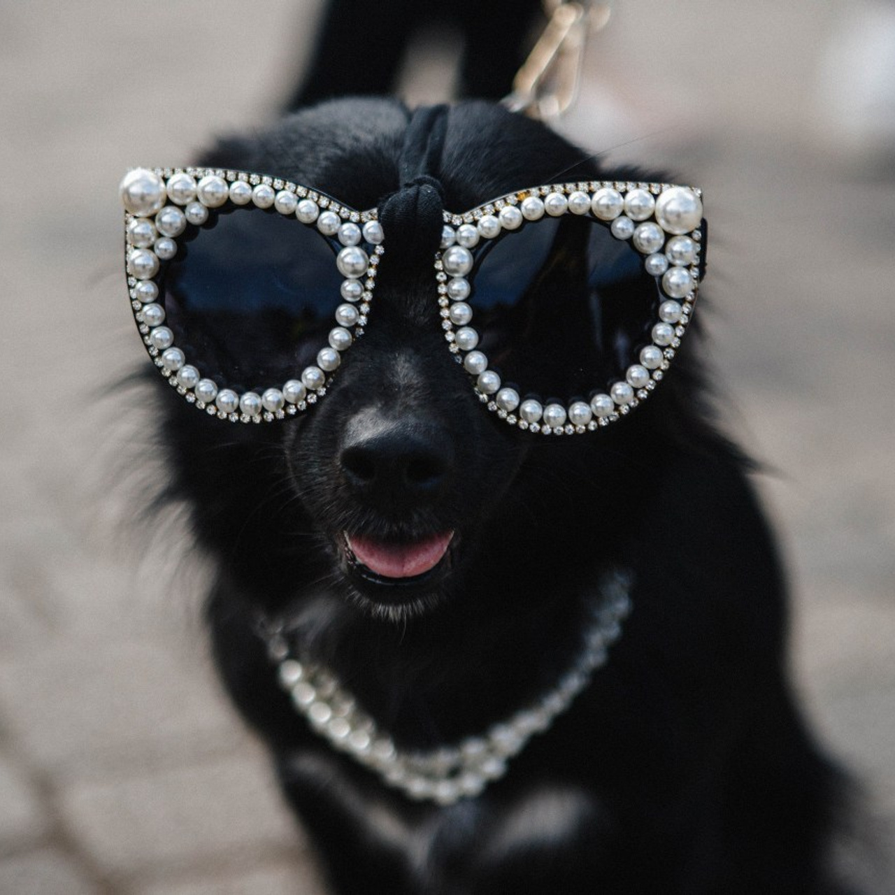 Отзывы. ФОТО/ВИДЕО БЬОРН Студия г. Новороссийск