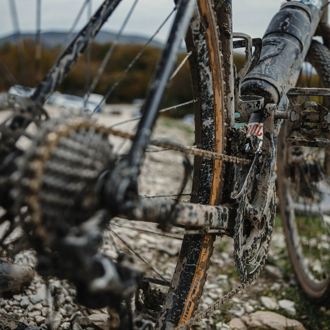 Отзывы. ФОТО/ВИДЕО БЬОРН Студия г. Новороссийск