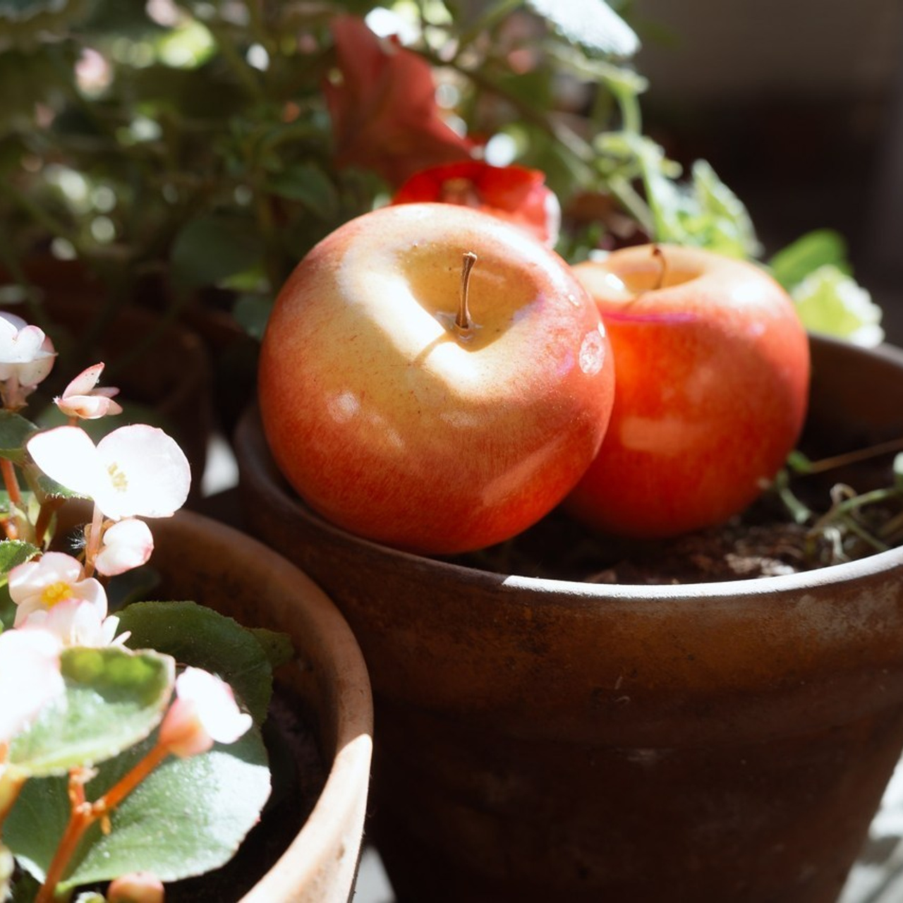 Отзывы о свадебных съёмках. Свадебный фотограф Дмитрий Родионов — Санкт-Петербург и Ленинградская область