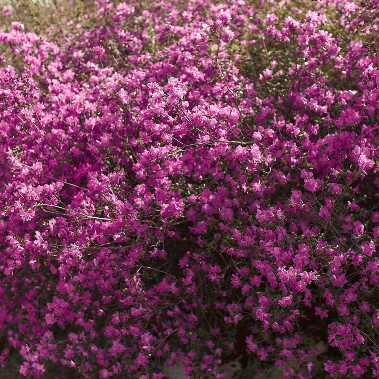 Фотограф Екатерина Соколова отзывы. Продающий контент для маркетплейсов и e-commerce «под ключ»