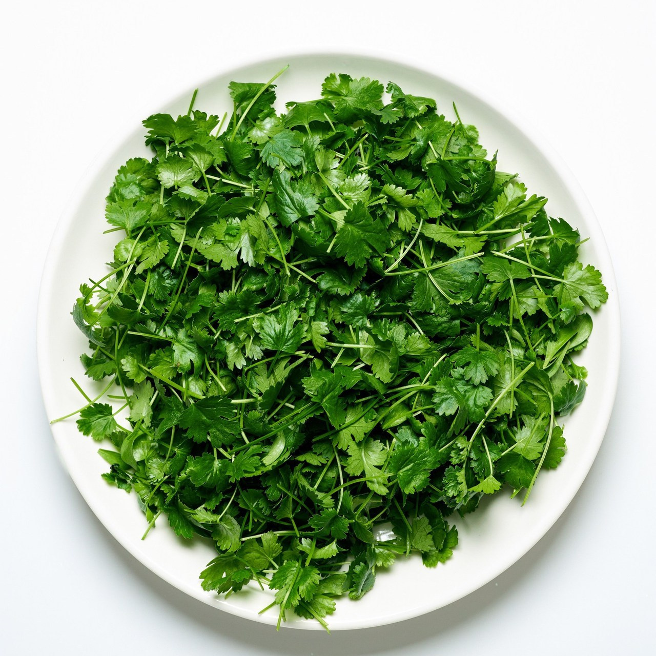 Фотограф на свадьбу в Красноярске. Свадебный и семейный фотограф в Красноярске Владимир Ятмасов