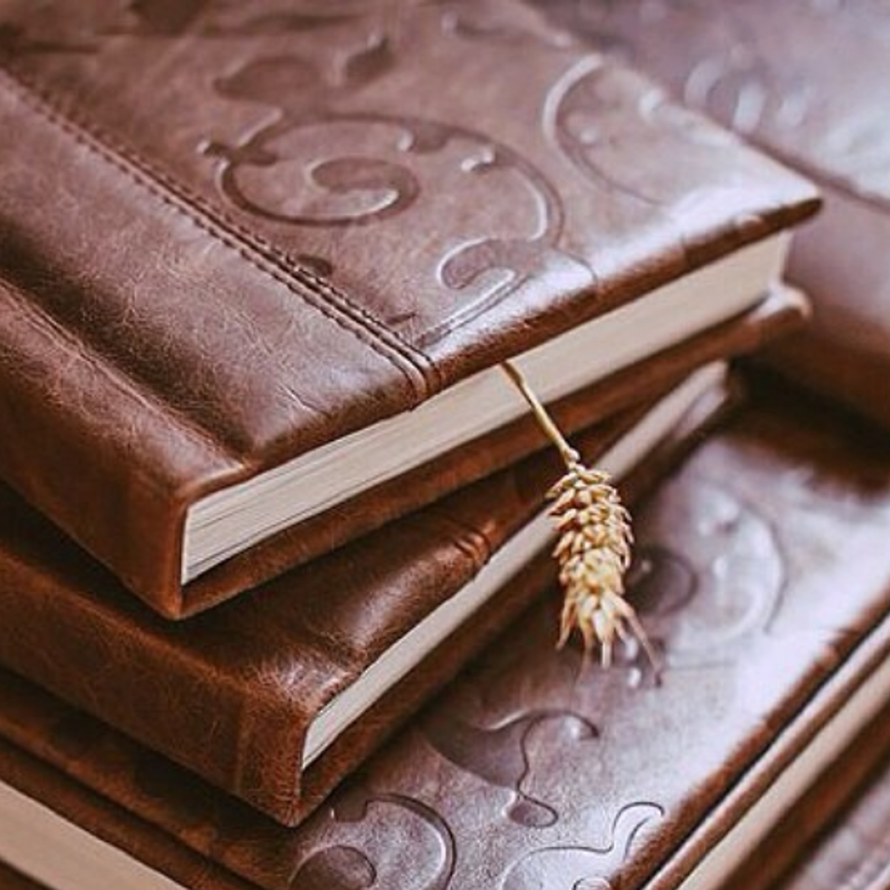 Napoli. Павел Будаев фотограф pro Улан-Удэ_Агинское_Иркутск